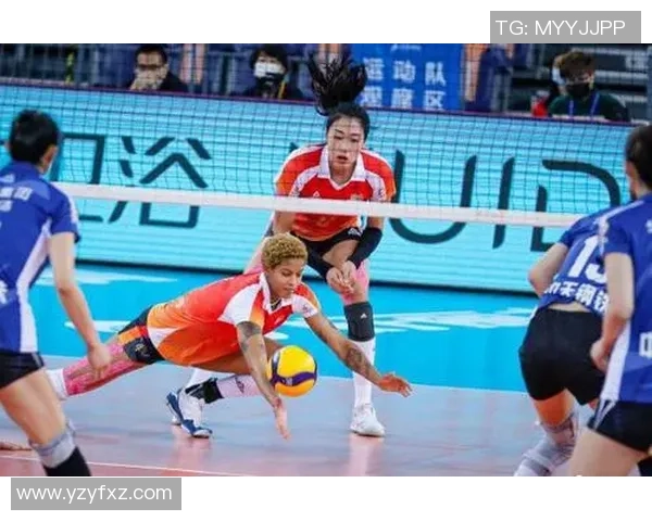 深度对话赵强的排球人生与梦想追逐的心路历程